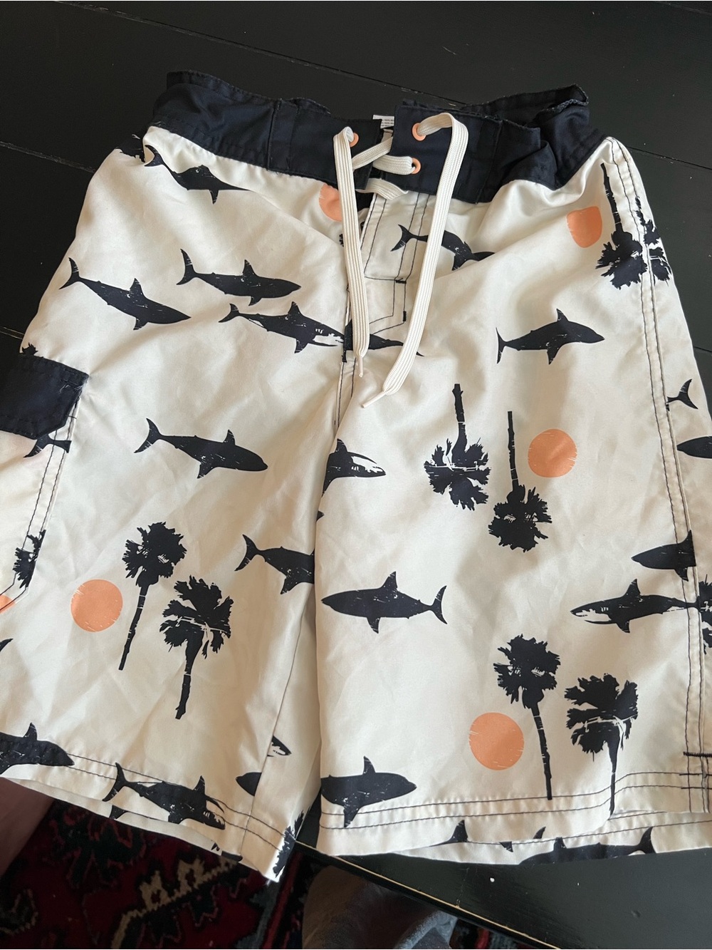 Size 12 boys swim trunks.